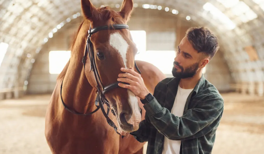 Young man with a horse is in the hangar
