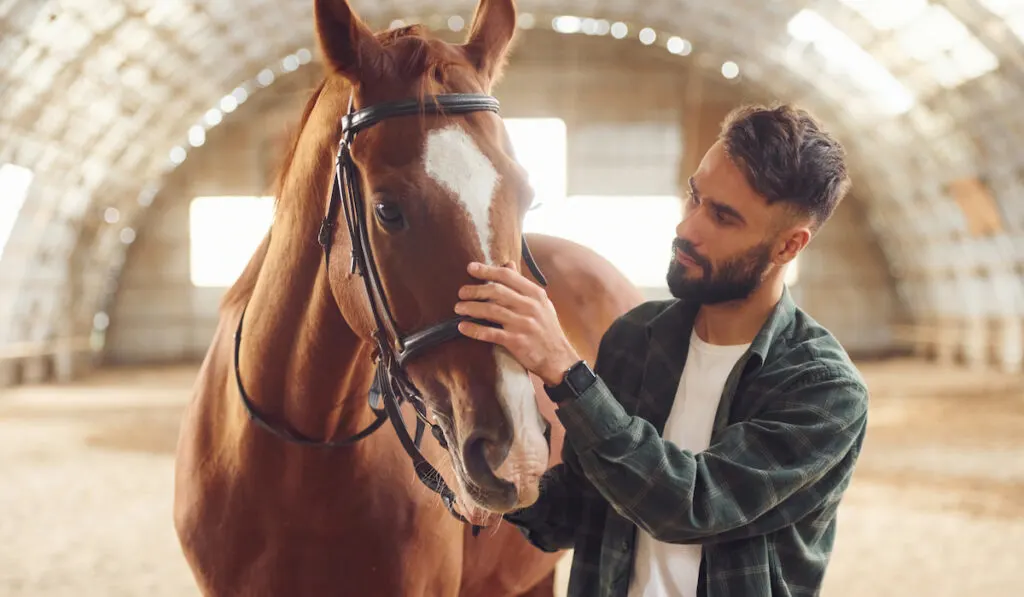Young man with a horse is in the hangar