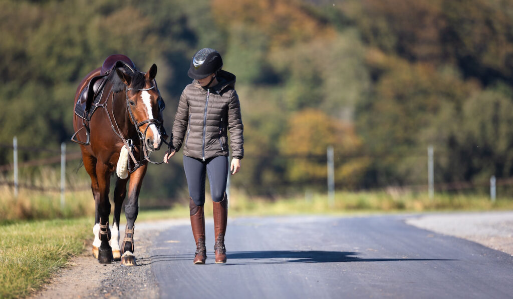 Young rider and a horse walking along the street