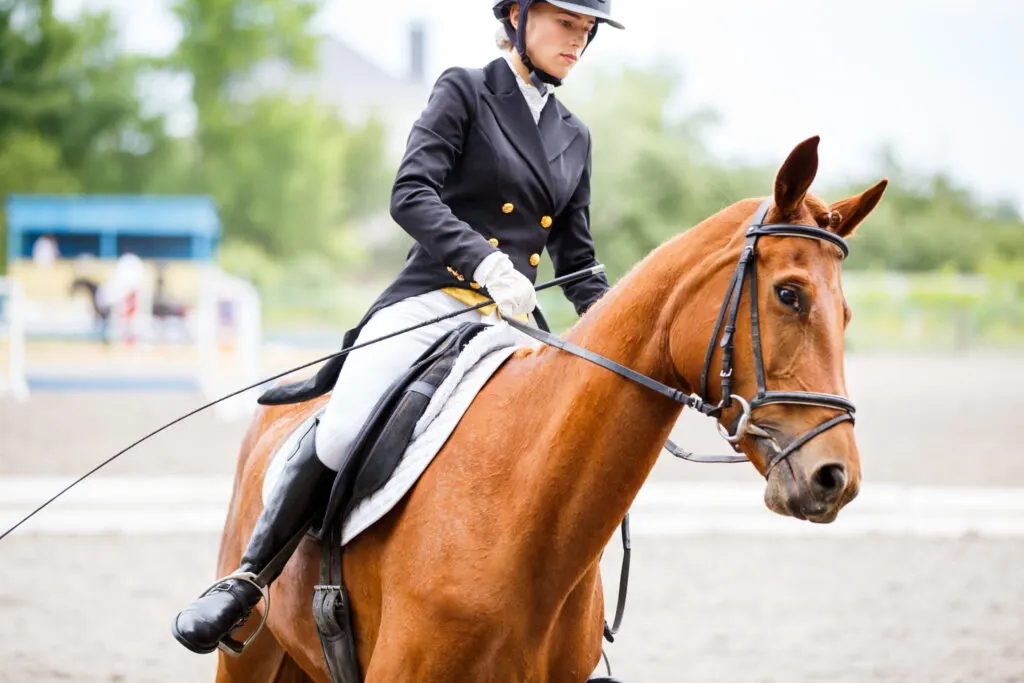 Young rider girl on horse at dressage equestrian competition