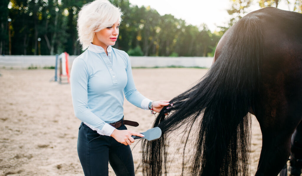 Young woman combing the tail of the horse