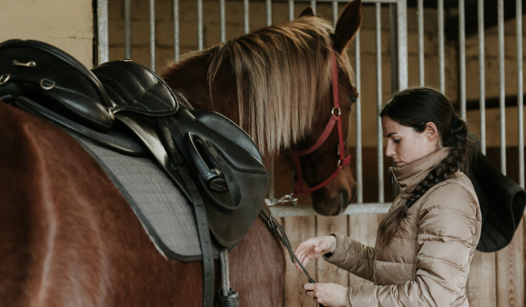 Young woman putting saddle on a brown horse near stable on ranch 