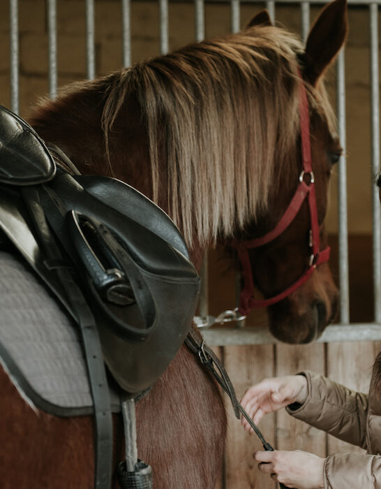 woman putting a saddle on the horse