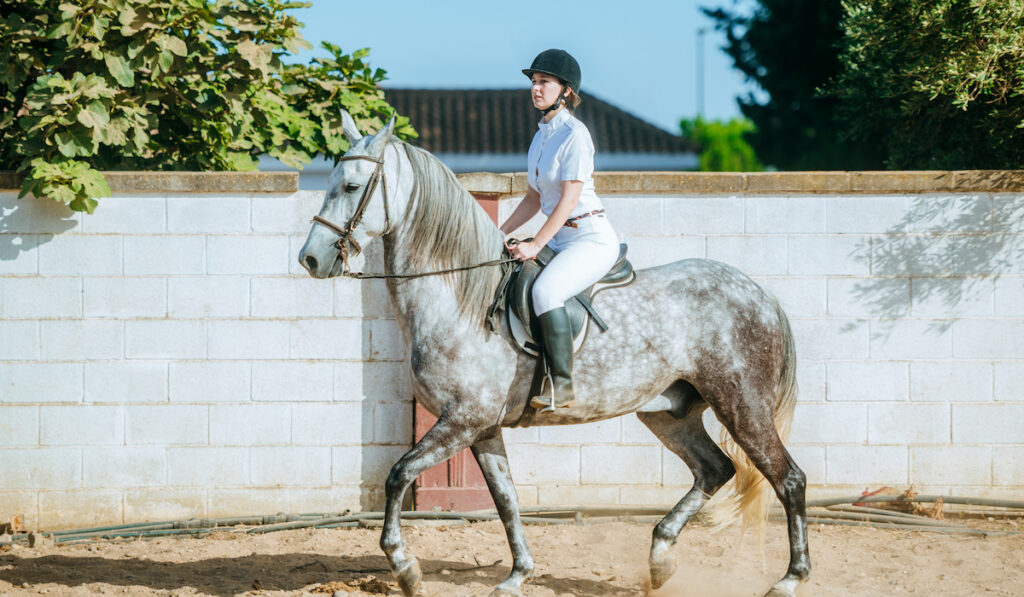 Young woman riding a beautiful white gray horse 