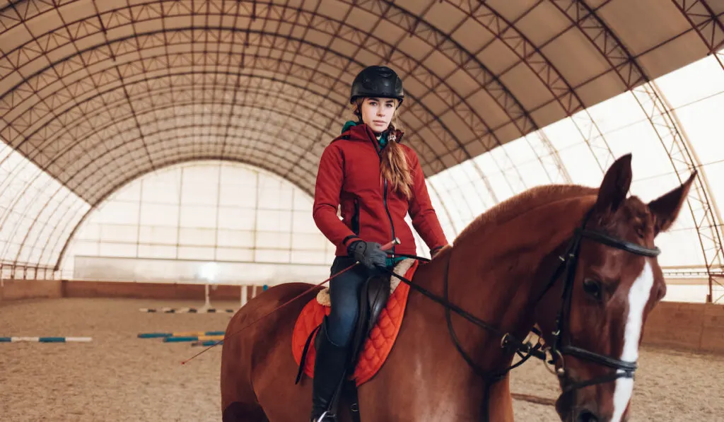 Young woman riding a horse in the arena 