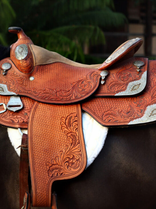 brown western leather saddle that can be used for riding a horse