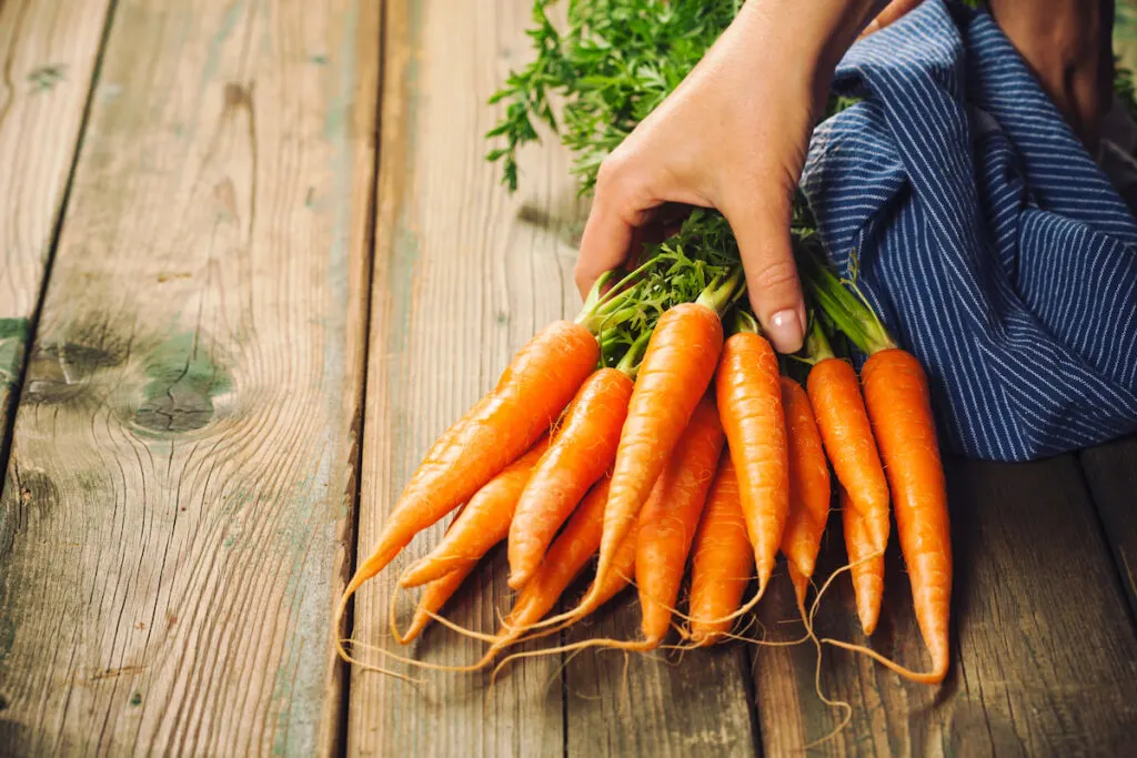 a bundle of carrots