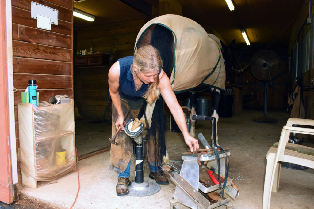 a female farrier working in a barn