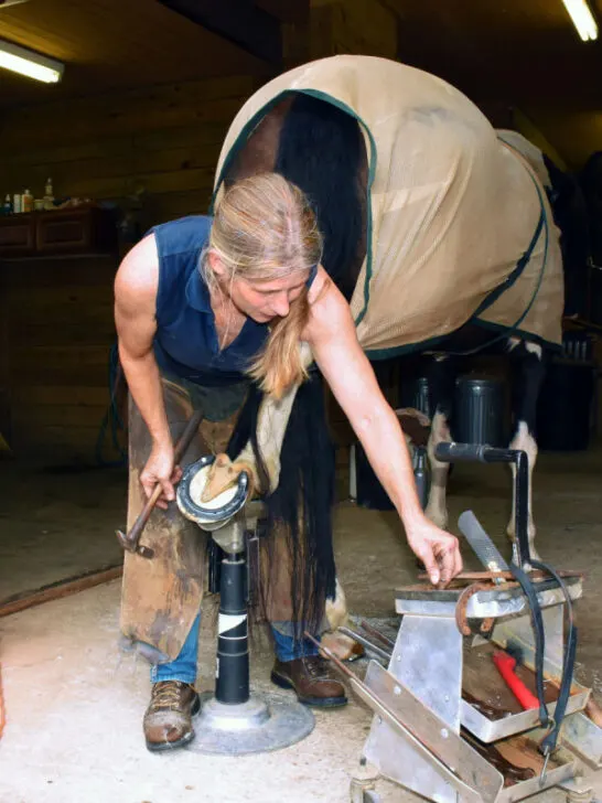 a female farrier working in a barn