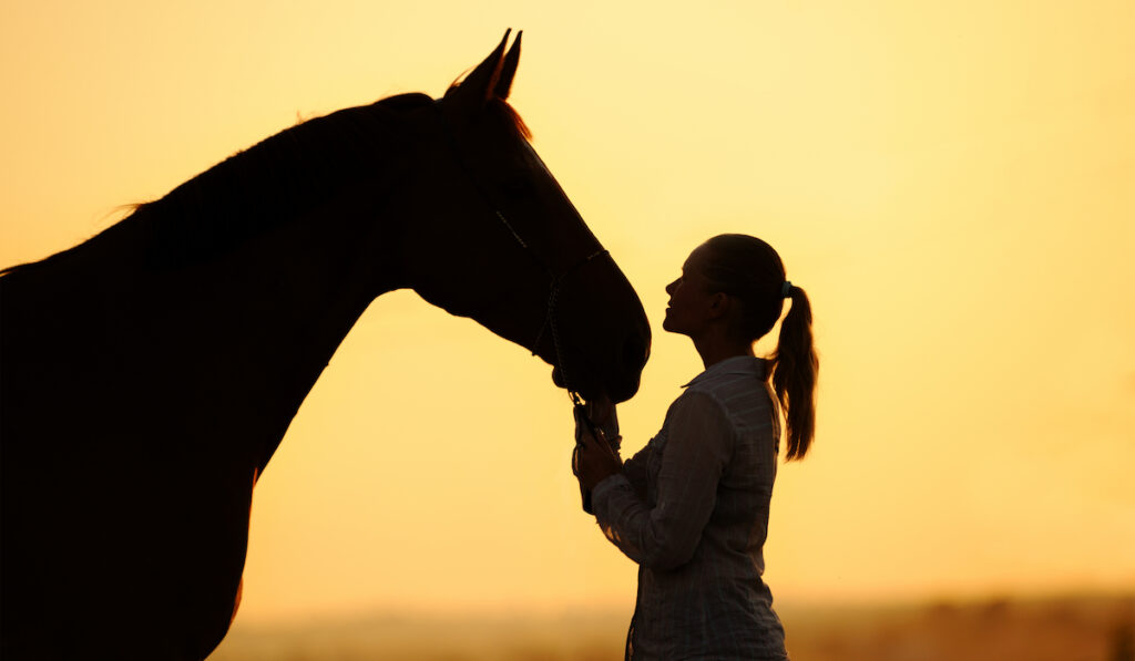 a horse and owner silhouette sunset