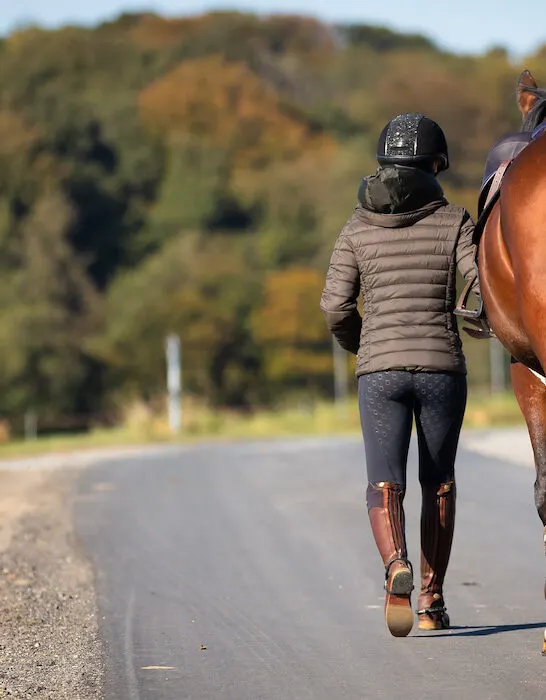 a horse and rider on the open road
