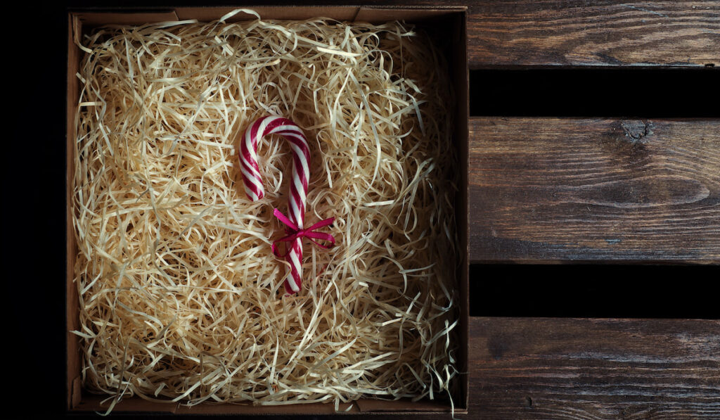 a piece of a candy cane inside a box of shredded paper bed