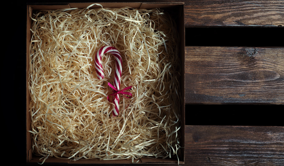 Can Horses Eat Candy Canes? Helpful Horse Hints