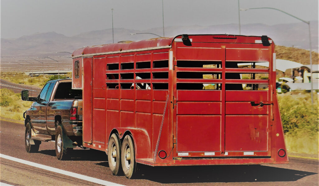  a red horse trailer on the open road