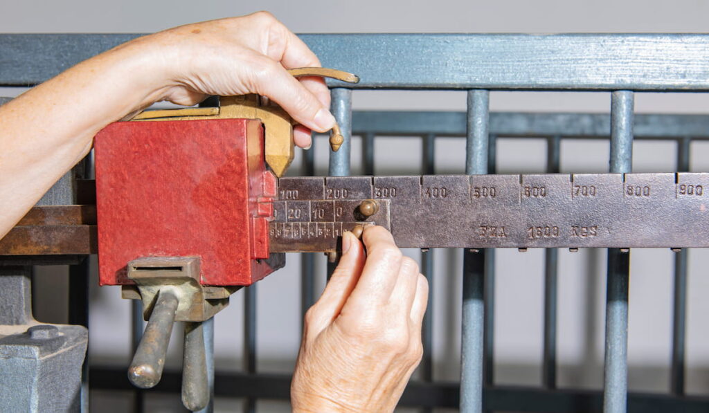 a scale to weigh animals 