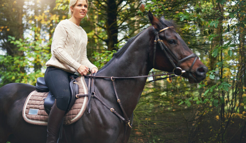 a woman sitting in the saddle of a brown horse in the park
