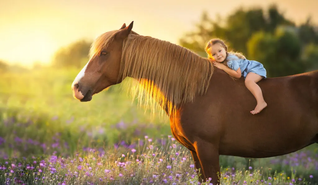 a young little girl laying on the back of a horse