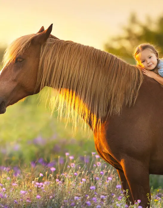 a young little girl laying on the back of a horse