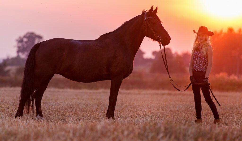 american quarter horse with a young girl