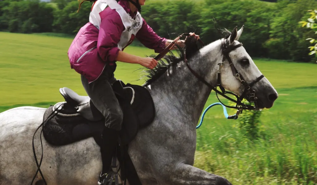 an athlete on a gray horse gallops at a distance horse race  ee220401 