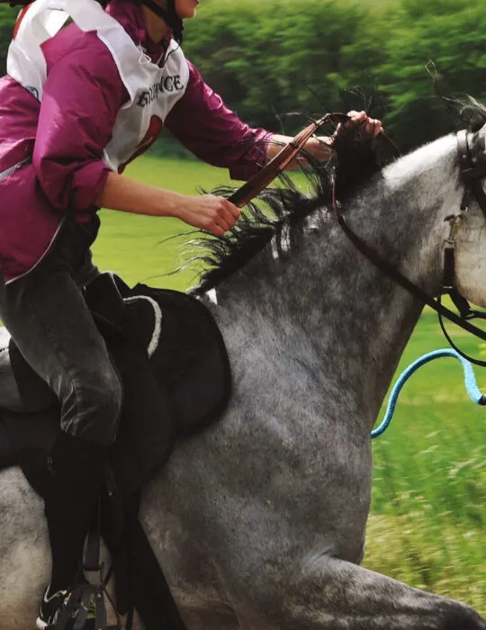 an-athlete-on-a-gray-horse-gallops-at-a-distance-horse-race-ee220401-