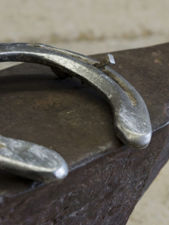 an iron horse shoe on top of an anvil