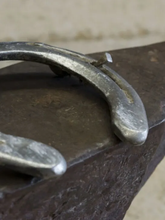 an iron horse shoe on top of an anvil