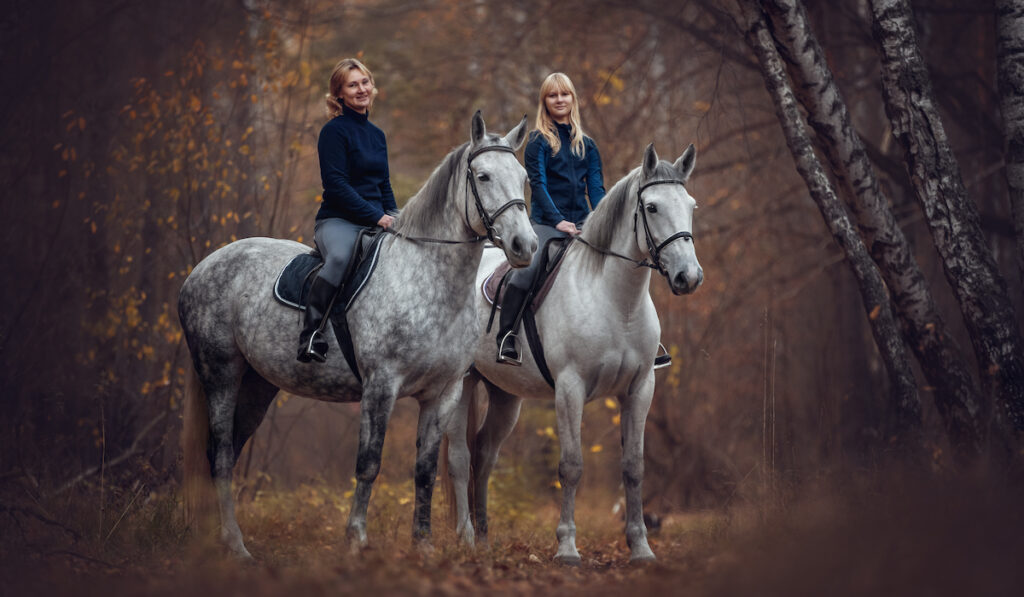 andalusian horses and their riders