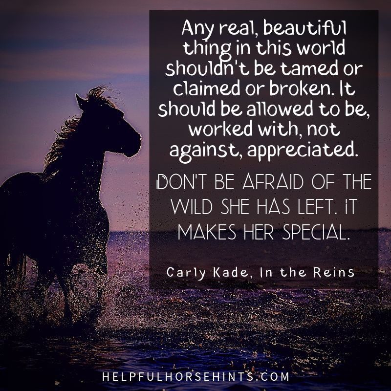 Any real, beautiful thing in this world shouldn't be tamed or claimed or broken. It should be allowed to be, worked with, not against, appreciated. Don't be afraid of the wild she has left. It makes her special. 