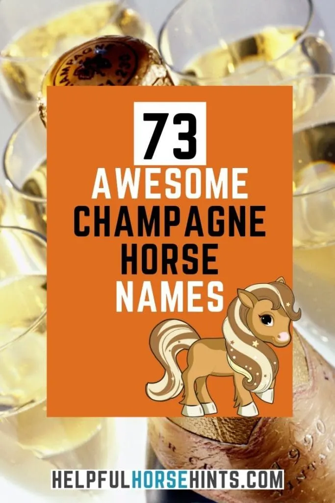 73 Awesome names for your champagne horse. Get some great ideas for naming your equine partner.