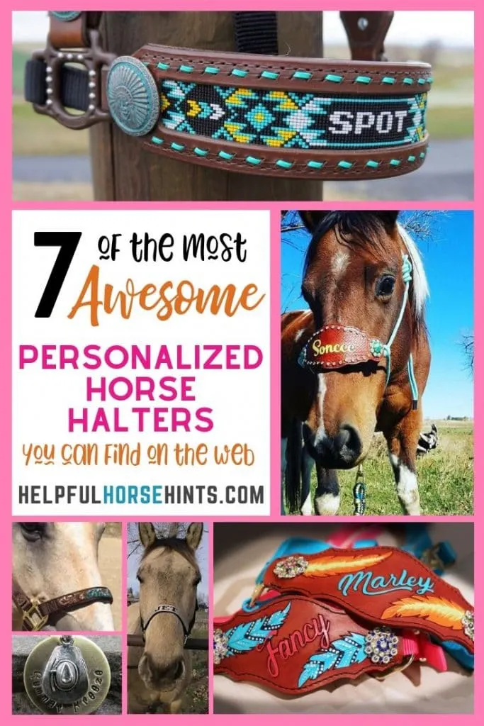 personalized horse halters