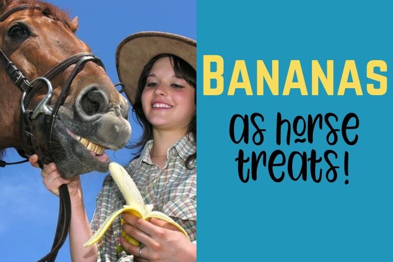 Can Horses Eat Bananas Helpful Horse Hints