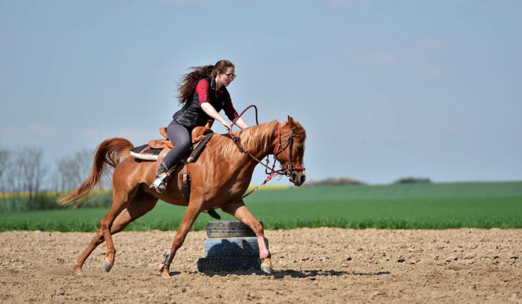 barrel training