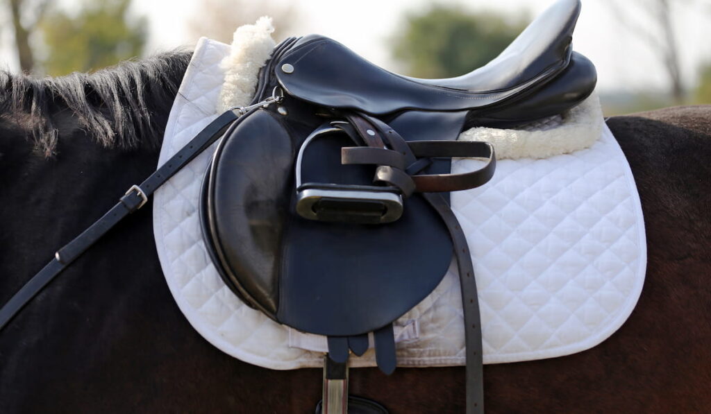 beautiful leather sport saddle 
