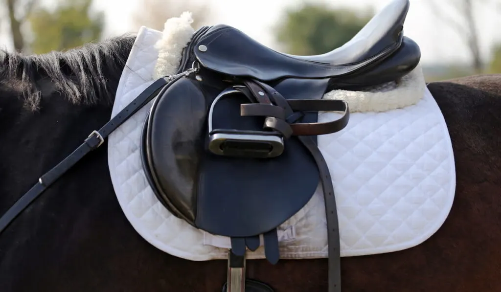 beautiful leather sport saddle