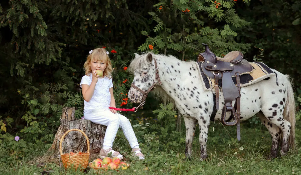 beautiful little girl sits on a stone eats an apple and next to a pony
