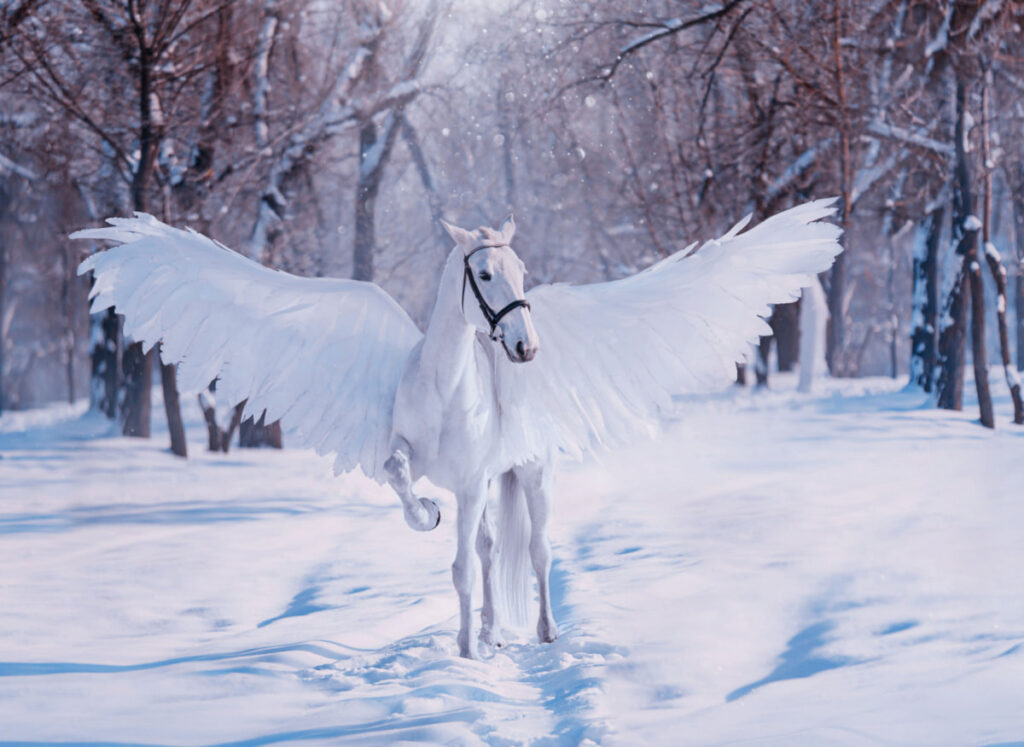 beautiful white Pegasus spreading its wings on the snow