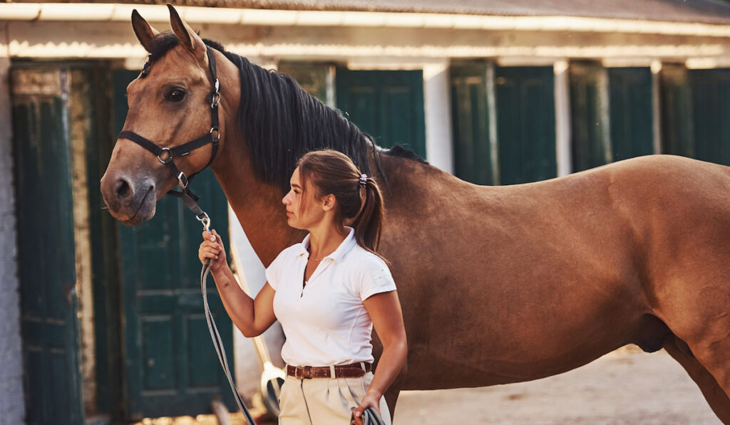 beautiful woman taking care of a horse