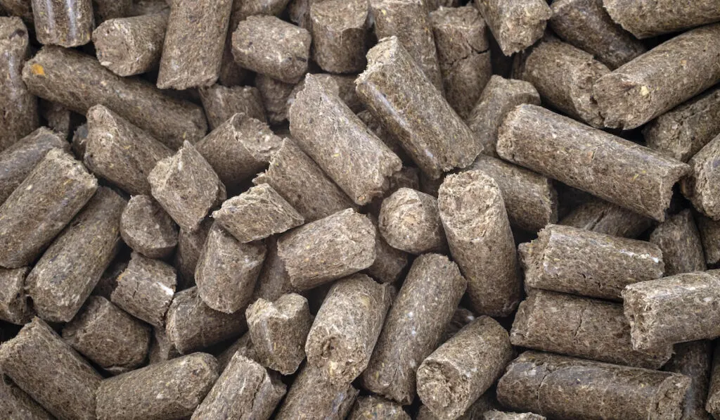 beet root pulp pellet food for horse 