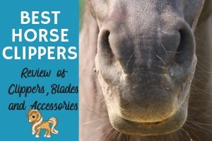 best horse body clippers