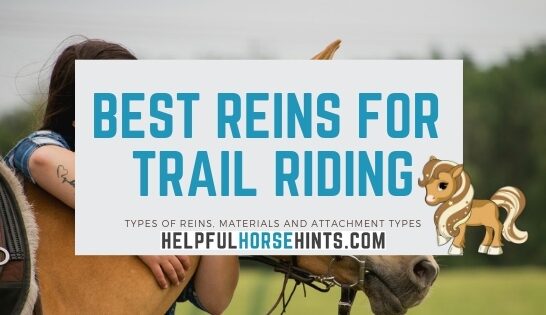 best reins for trail riding