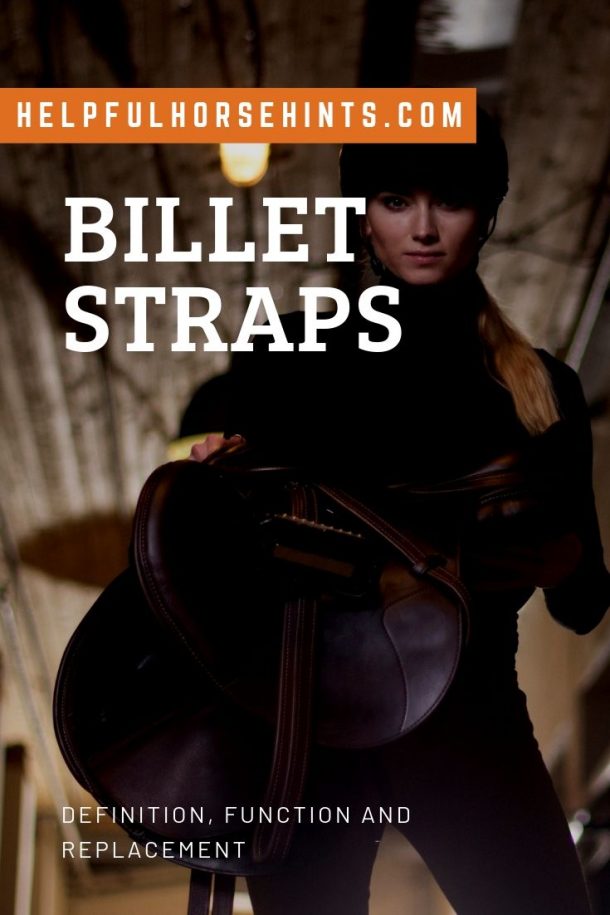 Billet Straps Definition, Function and Replacement Helpful Horse Hints