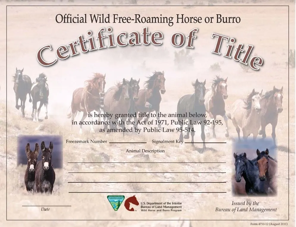 Sample BLM Certificate of Title