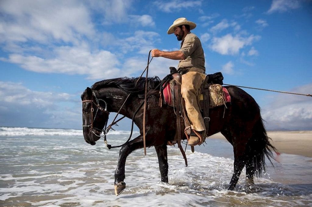 BLM Mustang Riding Under Saddle