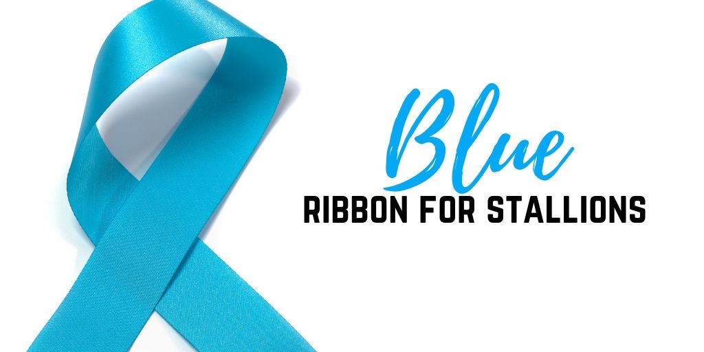 Guide to Horse Tail Ribbon Colors Helpful Horse Hints