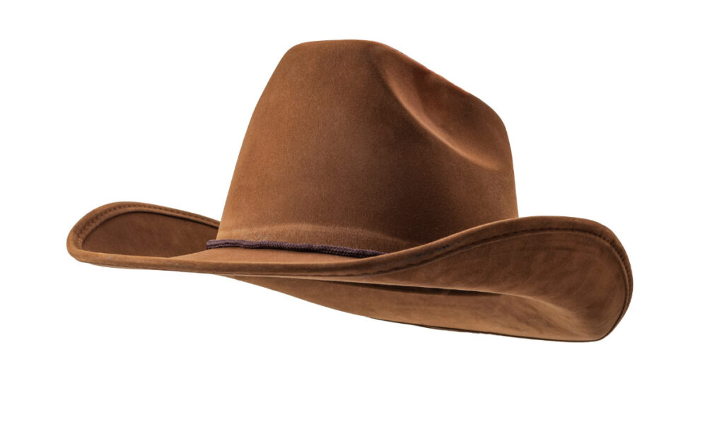 brown leather cowboy hat