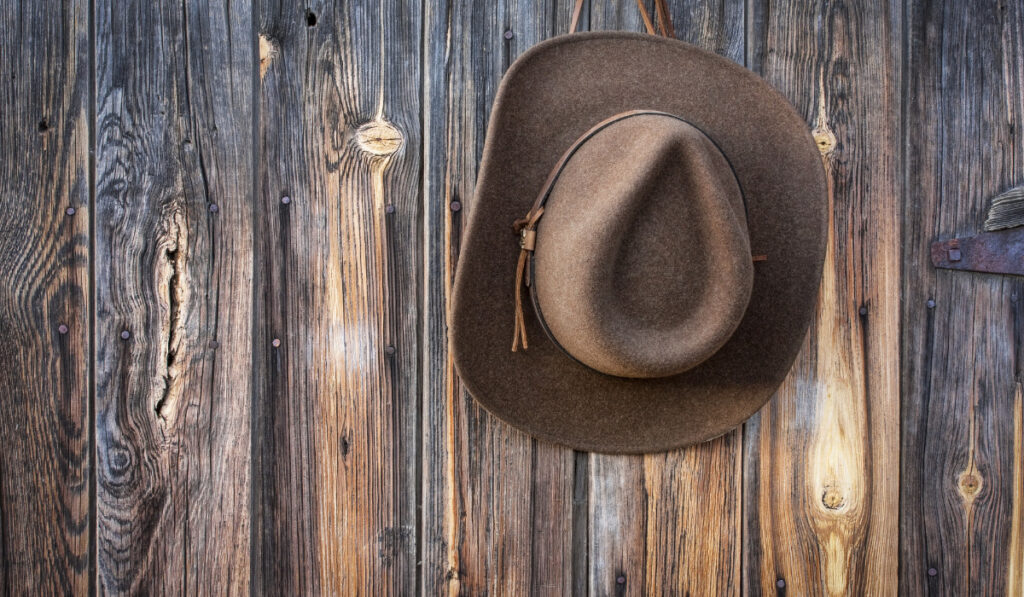 hanged cowboy hat on wooden wall