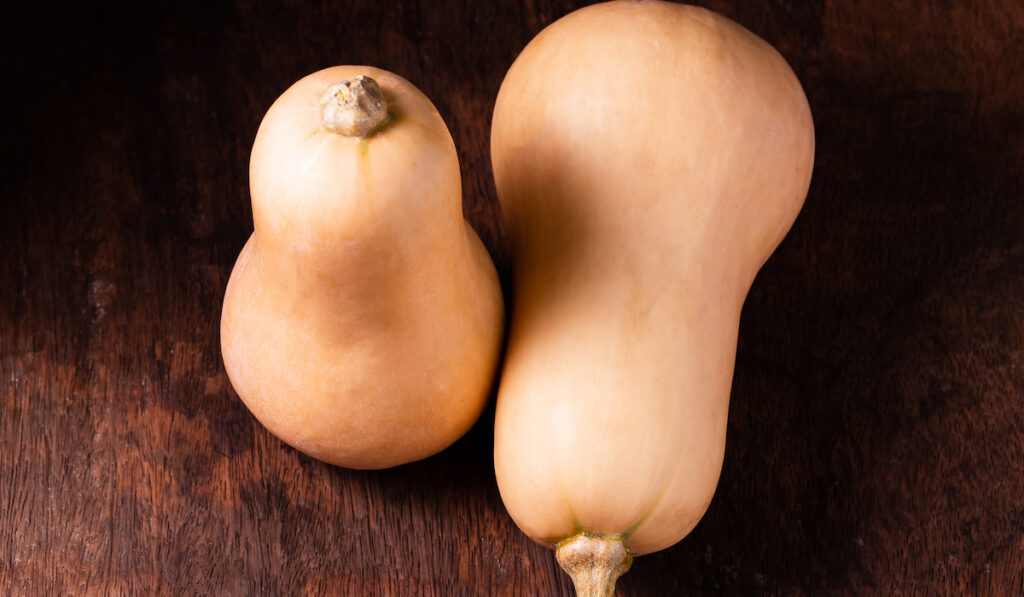 butternut squash over old wooden table