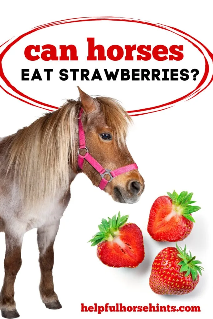 Can Horses Eat Strawberries - Pinterest Image