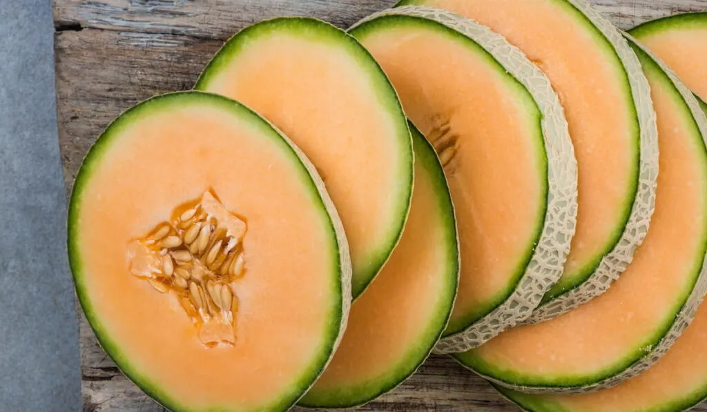 can dogs eat cantaloupe skin